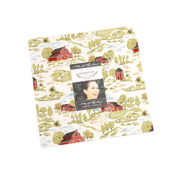 Farmstead 10 x 10-Inch Layer Cake, 42 Pieces - by Stacy Iest Hsu Discount