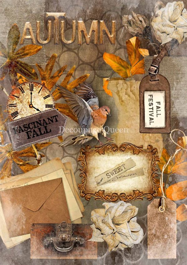 Sweet Autumn #0328 Supply